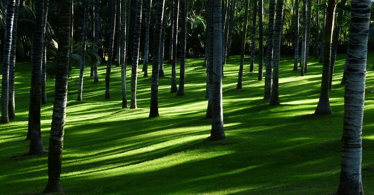 découvrez comment le télémarketing durable révolutionne la prospection commerciale en alliant efficacité et responsabilité environnementale. adoptez des pratiques éthiques qui préservent la planète tout en atteignant vos objectifs commerciaux.