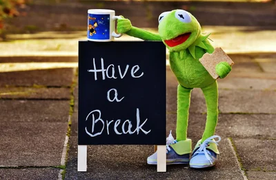 kermit