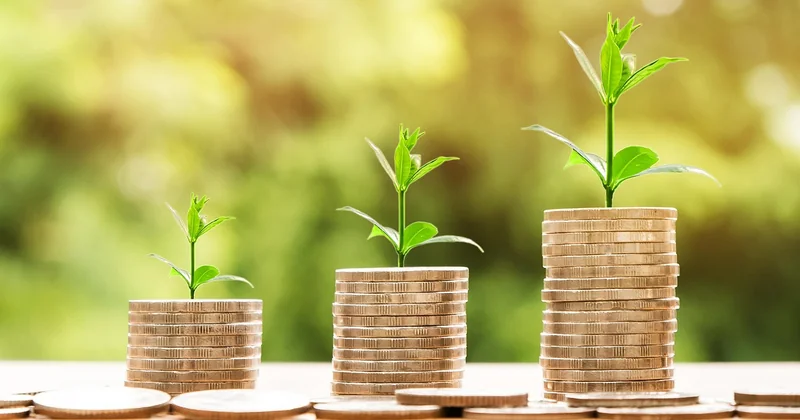 Au-delà des besoins : compétences et argent