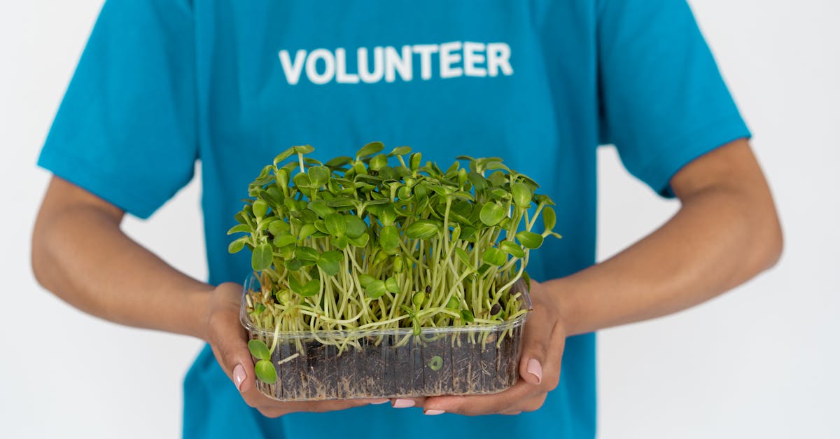 La responsabilité sociale dans le télémarketing : un enjeu essentiel