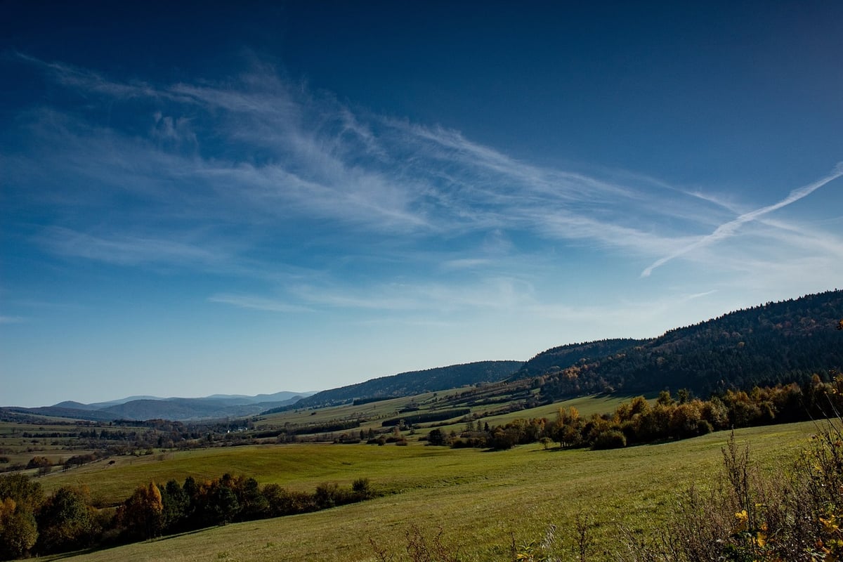 Environnement staging : comprendre son rôle clé dans le développement et la mise en production