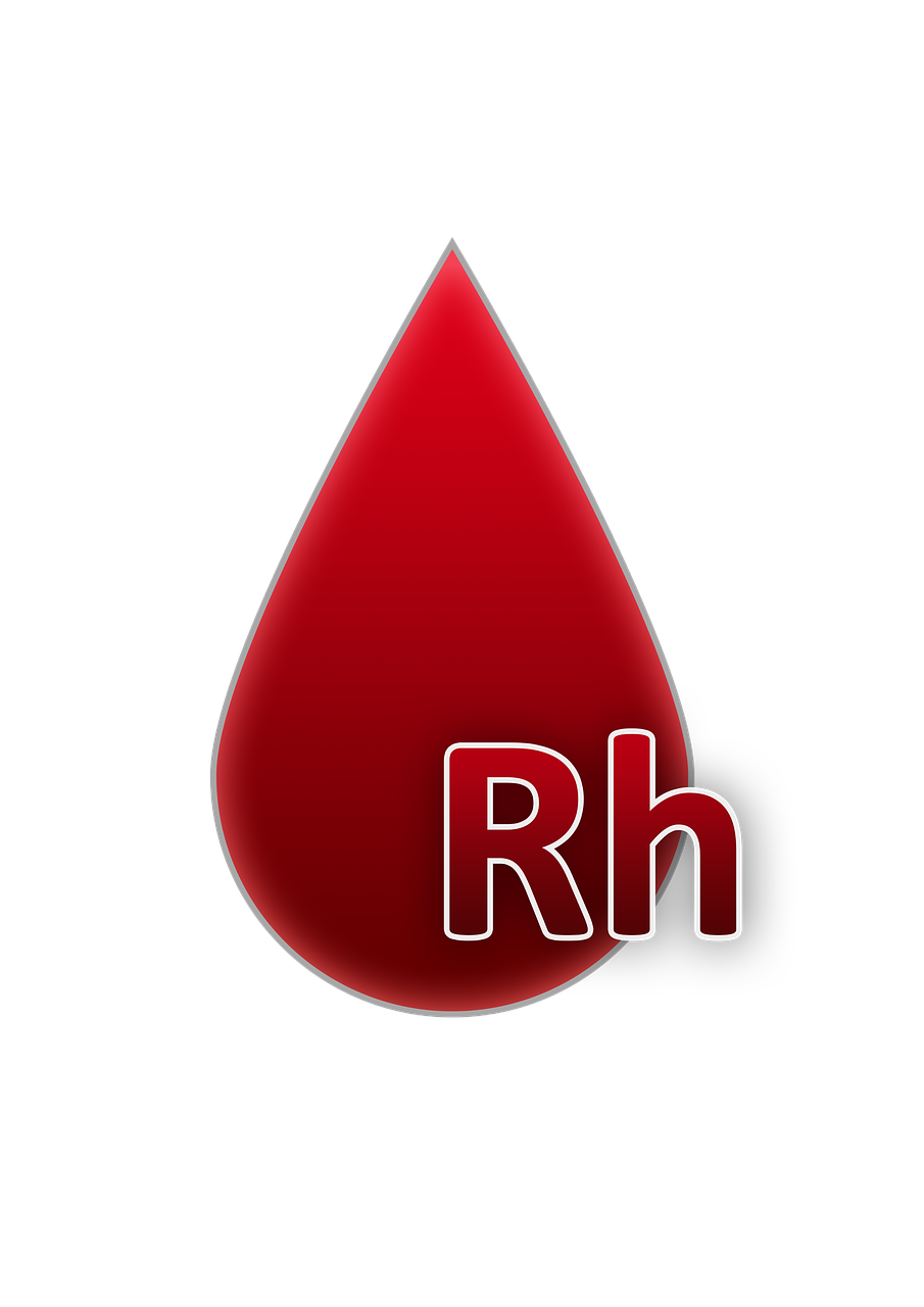 découvrez les différents formats de gpu pour optimiser l'intégration et la performance de votre carte graphique dans votre ordinateur.