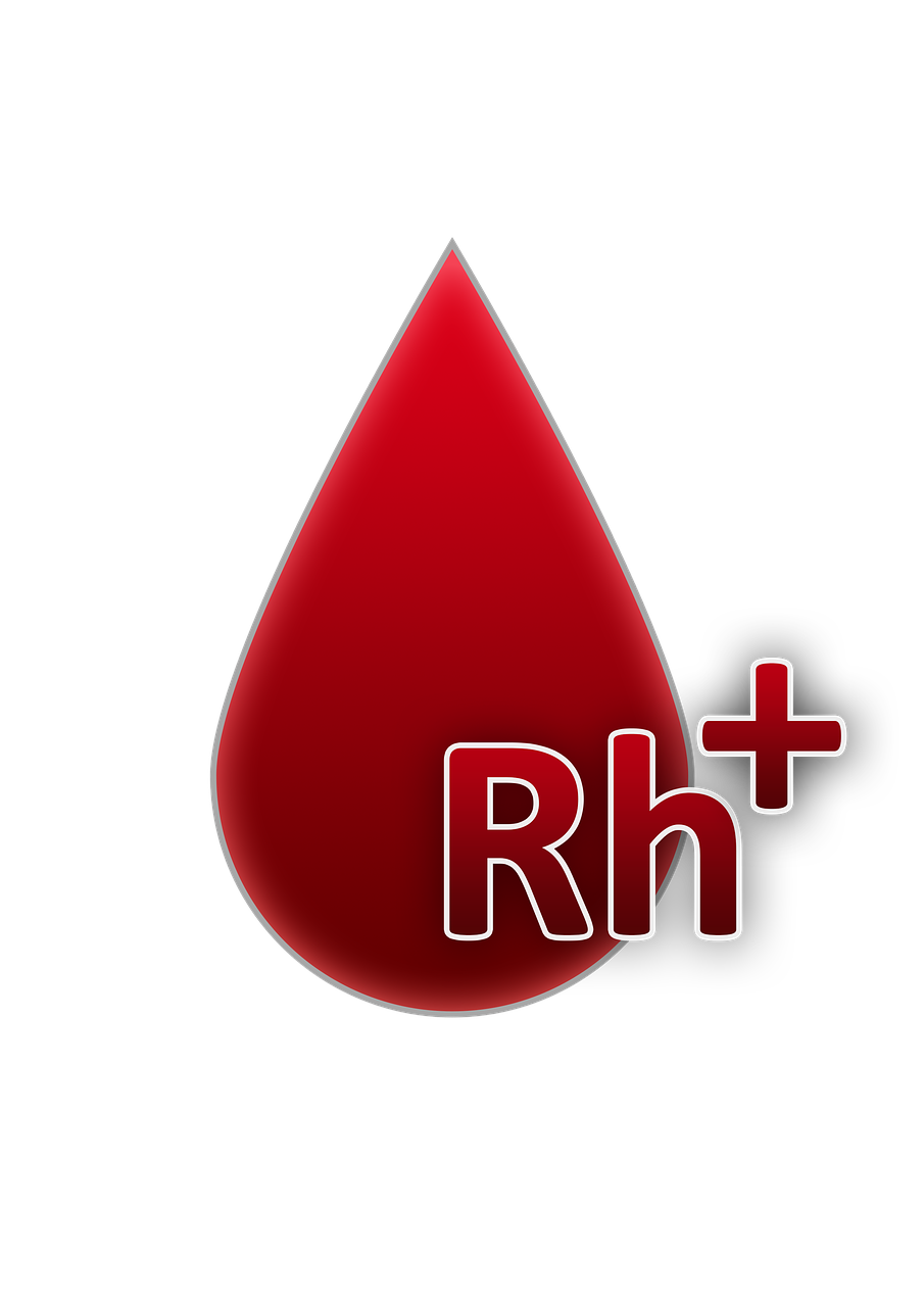 d&eacute;couvrez les diff&eacute;rents facteurs de forme des gpu, leurs sp&eacute;cificit&eacute;s et comment choisir celui adapt&eacute; &agrave; votre configuration pc pour des performances optimales.