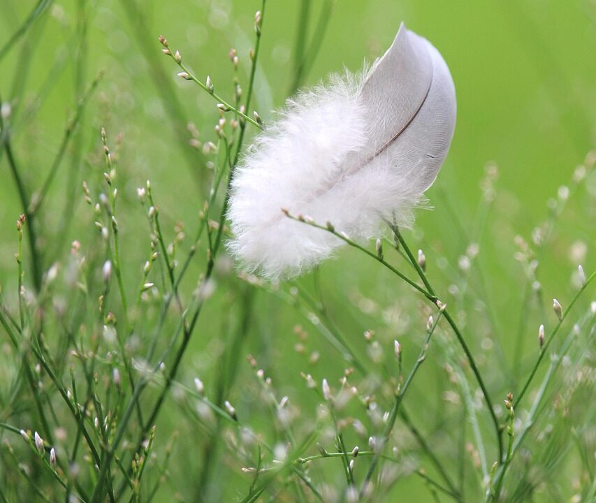 Les meilleures alternatives &agrave; Droskop pour le streaming facile !