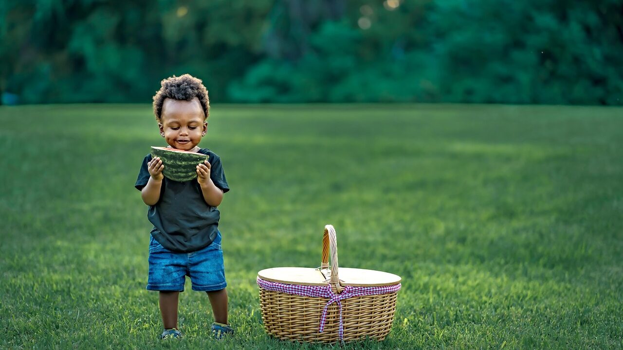 Tout sur les nouveaut&eacute;s de Loknoz : qualit&eacute; et diversit&eacute; au rendez-vous !